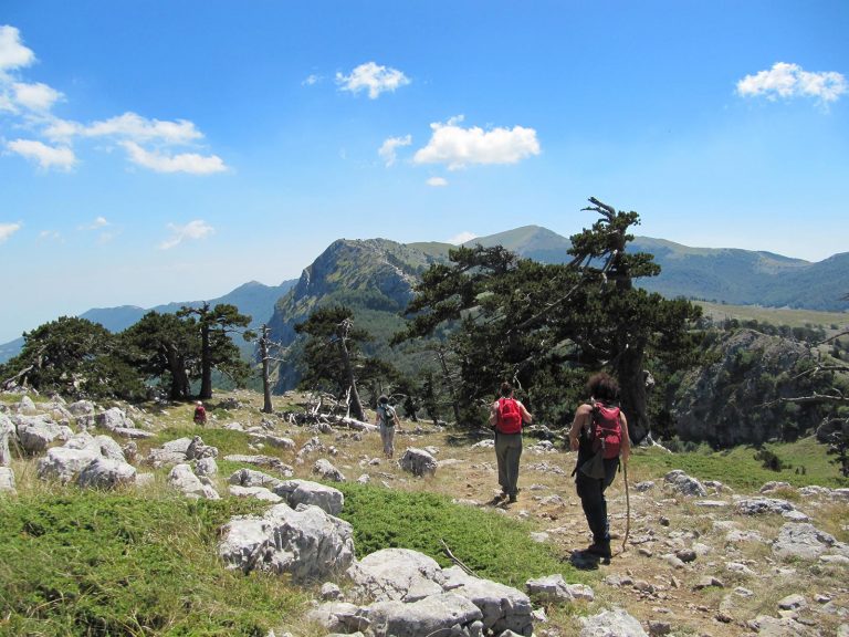 Tour alla scoperta del cuore autentico del Parco del Pollino