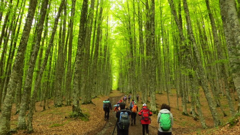 Trekking Experience nel Parco