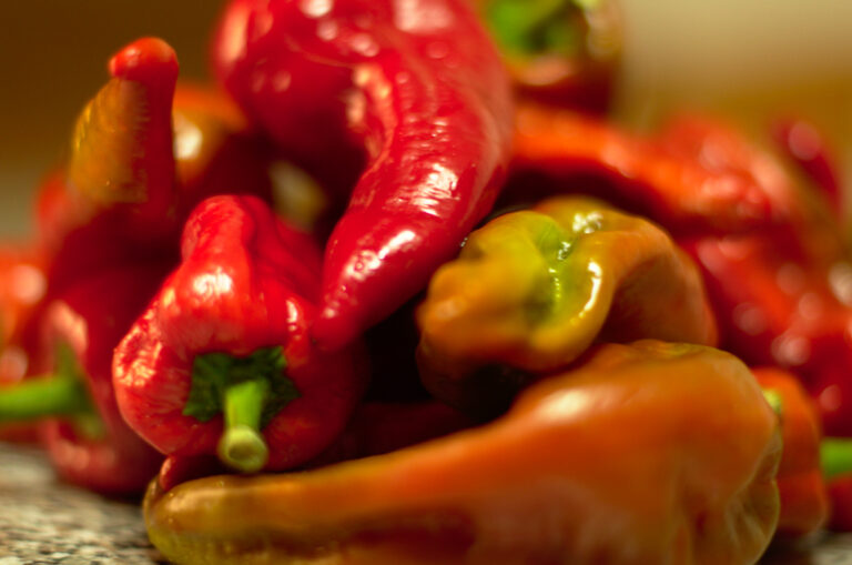 Rosso come il fuoco