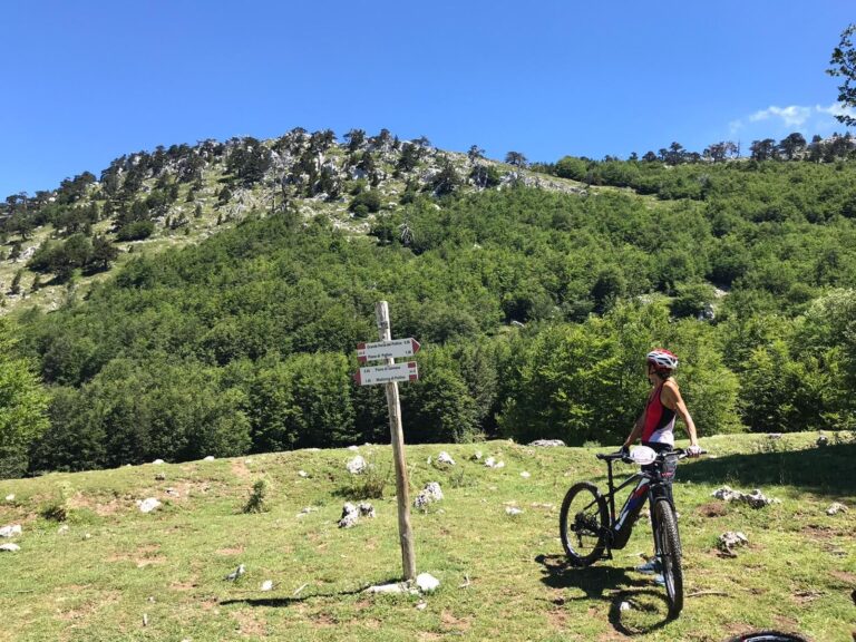 Bike&Trekk