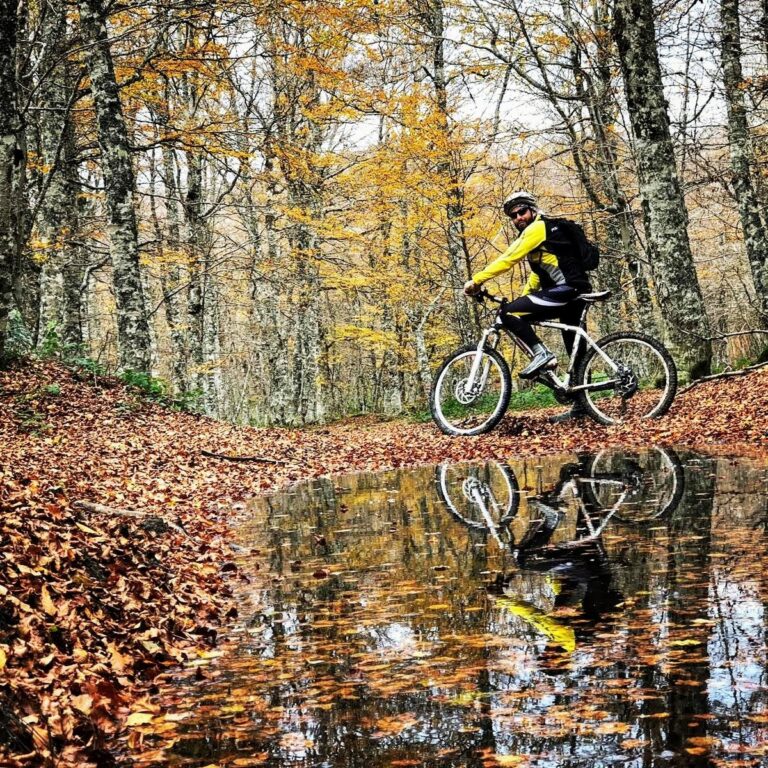 E-Bike Experience nel Parco
