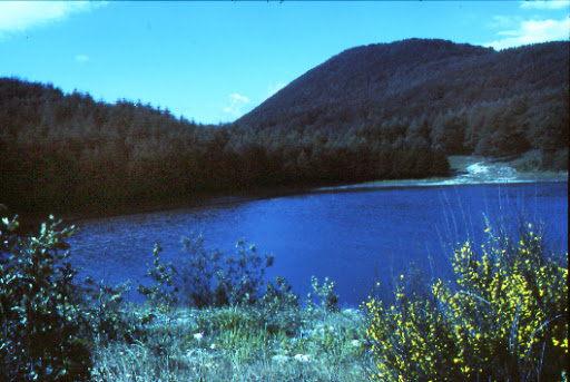 Sangineto